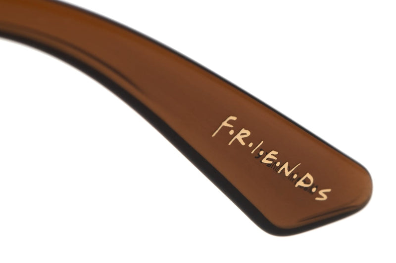 FRIENDS PHOEBE SMELLY CAT SUNGLASSES